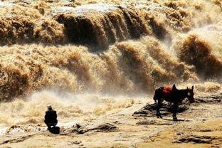 黄河个人资料,探寻黄河流域的传奇人生与时代印记